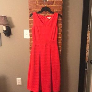 NY and company dress